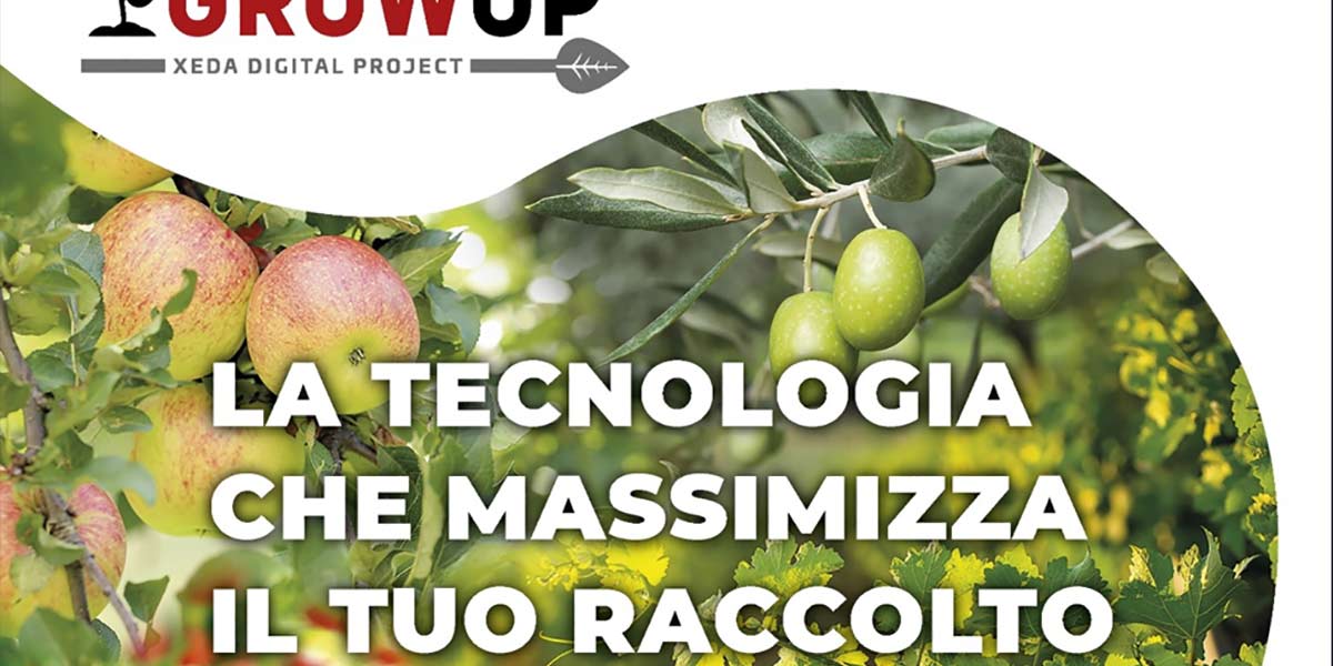 Agricoltura 4.0, come si può massimizzare il raccolto